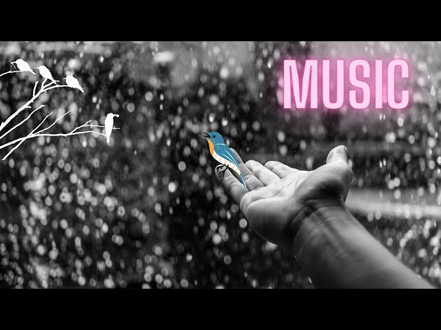 Rain Sounds with Tibetan Singing Bowls and Birds chirping Music |Relaxing Bass|Mind Relaxing Morning