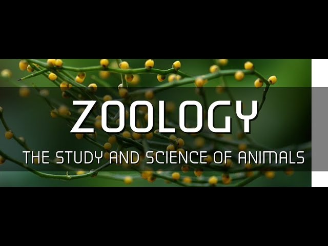 Department of Zoology