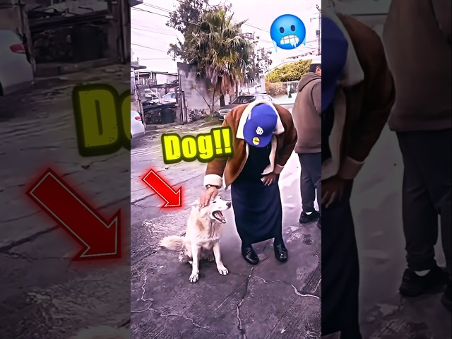 🥶🐕 A Dog Approaches Muslim, How Will He React? #shorts