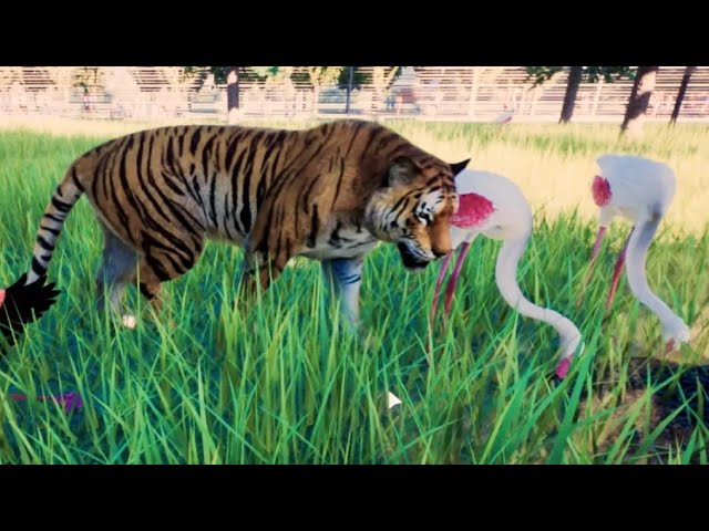 TIGERS released in FLAMINGO Habitat!? (Planet Zoo)