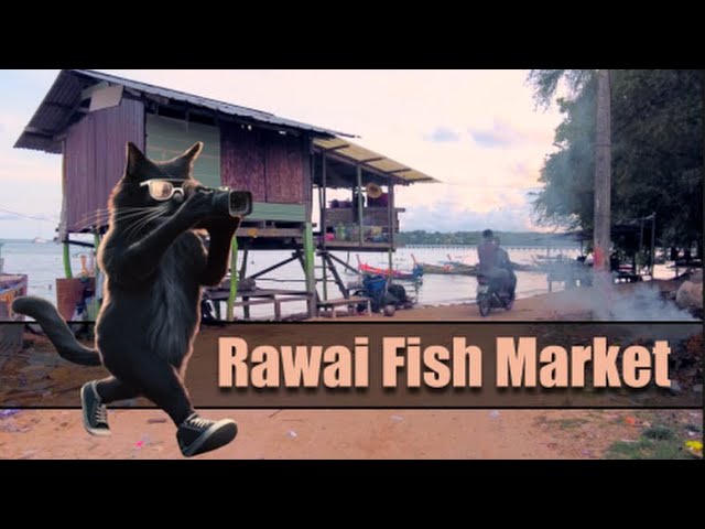 An Authentic Tour of Rawai Fish Market. Phuket. Thailand. 4K