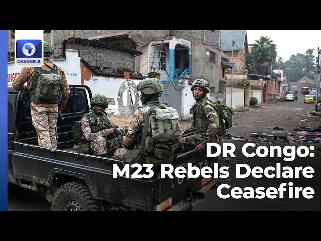 Rebels Declare Ceasefire In DR Congo + More | Network Africa