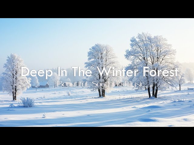 Beautiful Soothing Music - Peaceful Beautiful Music Deep In The Winter Forest