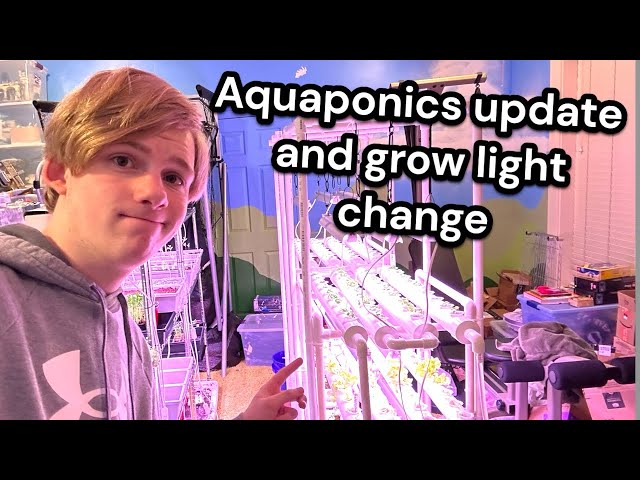 Aquaponics update and grow light change