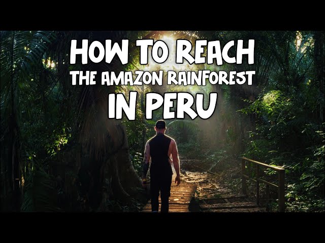 Amazon Unlocked! | Puerto Maldonado, Peru Complete Travel Guide 🇵🇪