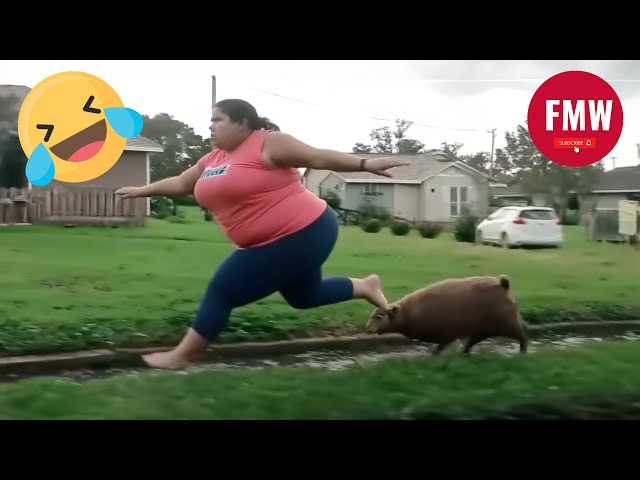 Funny & Hilarious People's Life 😂 #117 - Try not to Laugh | Best Funny Fails Compilation 2024