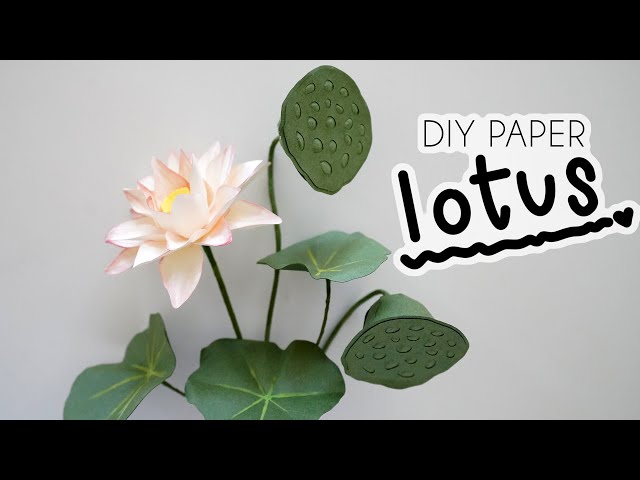 Paper Lotus DIY 🪷 How To Make Paper Flower Crafts Tutorial