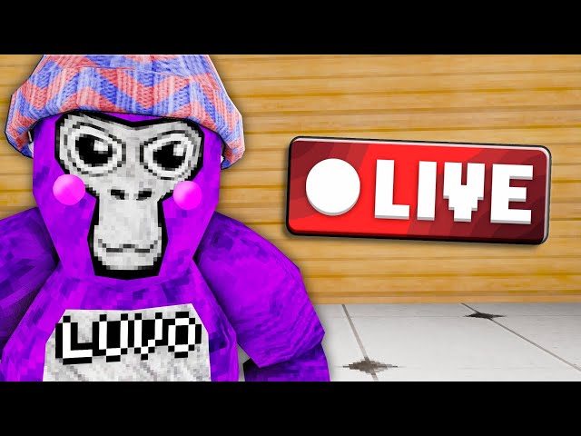 🔴Gorilla Tag LIVE Playing With VIEWERS!🔴 (Virtual stump + Minigames) #gorillatag