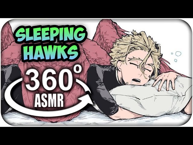 Sleeping With Hawks~ {360º ASMR}: My Hero Academia 360 VR | MoT Team