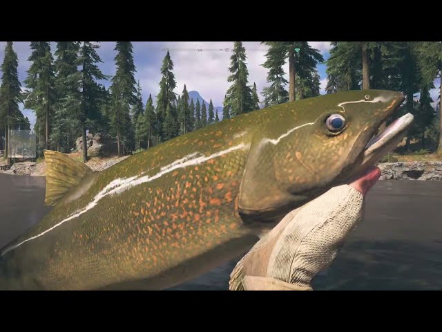 Far Cry 5 piękne trocie na muchę 🪰🐟