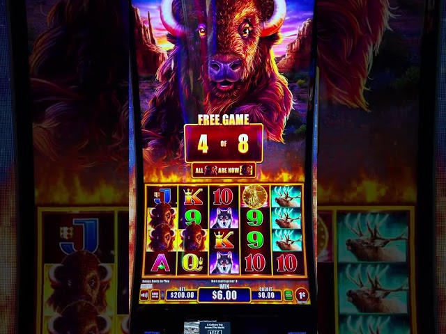 Buying a $200 Instant Feature on the NEW Buffalo Power Pays! @slots #lasvegas #casino