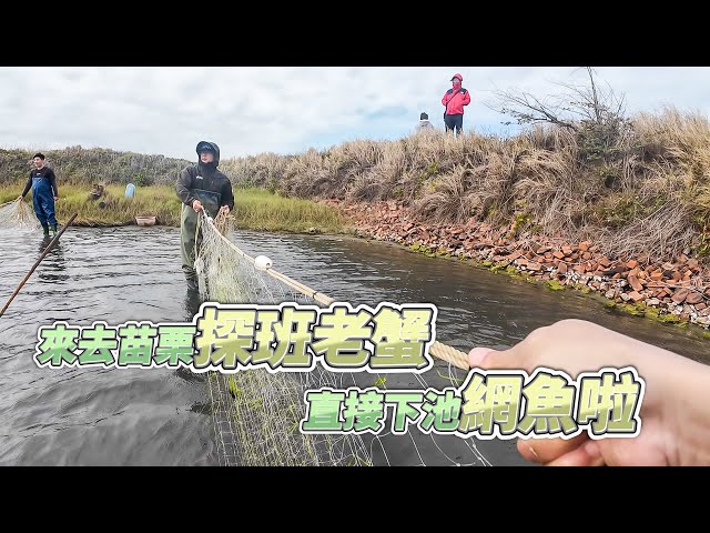 【台客去魚池】寒風刺骨下池網魚耙黑蜆！這就是最近的老蟹的生活日常！ feat.老蟹的生活日常