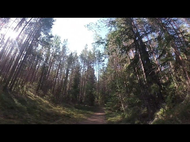 Nature Trail on a Bicycle in Loppi, Finland | 360° View