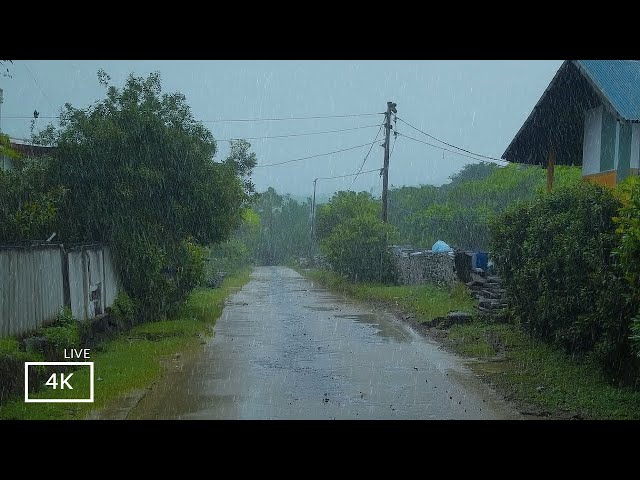 Serene Village Rain Walk in 4K | ASMR Rain Walks Compilation for Deep Sleep and Meditation