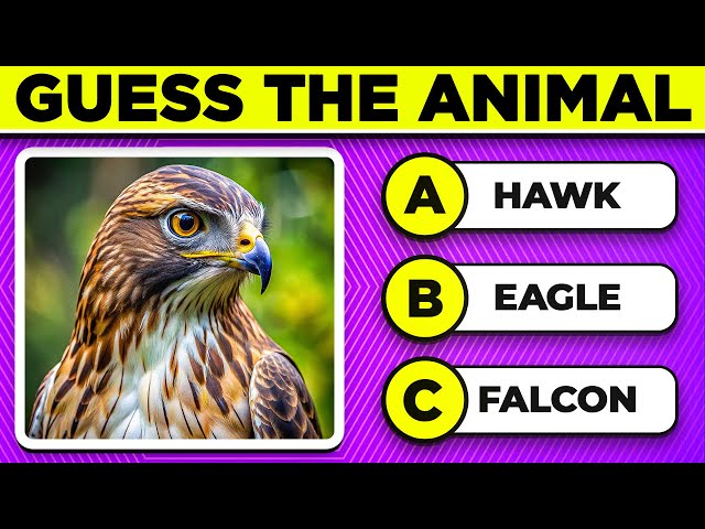 Can You Guess the Animal in 7 Seconds? 🦁 Animal Quiz Game