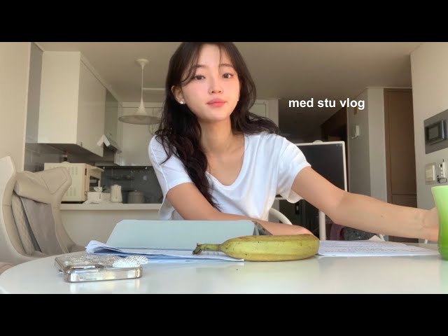 Med student day off vlog: no plans, no matter (revising paper, organizing lip products, baking)