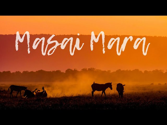 One Minute in Kenya's Masai Mara