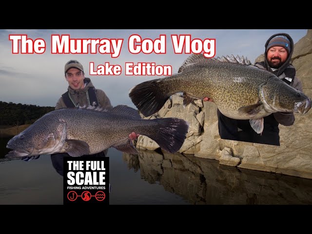 The Murray Cod Vlog | Lake Edition | The Full Scale