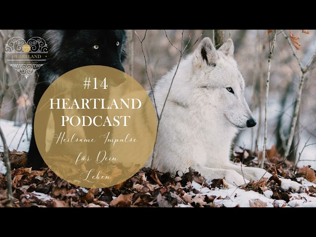 14. HEARTLAND Podcast: Welchen Wolf fütterst du?