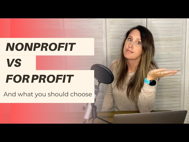 Nonprofit VS for profit