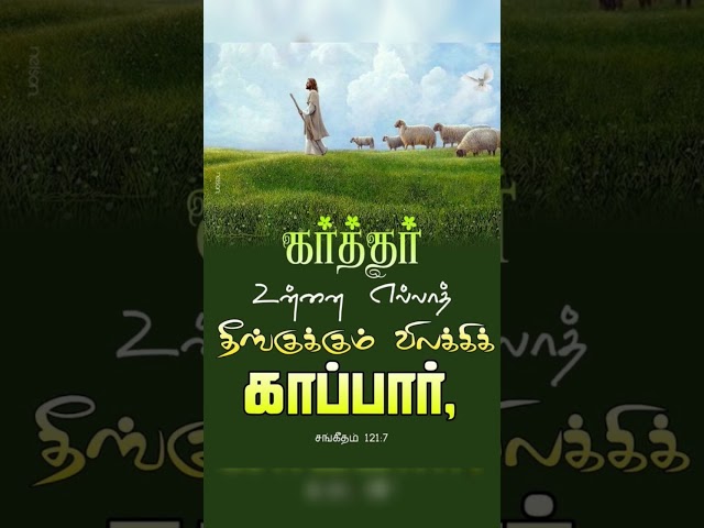 Theengai kaanadhiruppai|Tamil Christian song status|jesus song status|shorts|bible words|vasanam