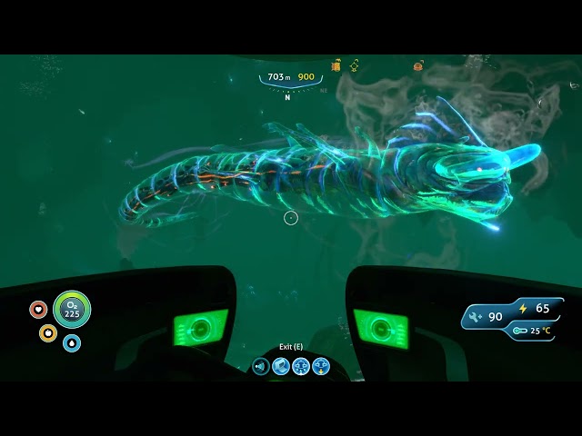 ghost leviathan