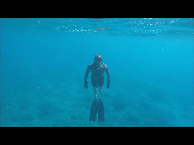 Freediving Cape Verde / Freitauchen auf den Kap Verden