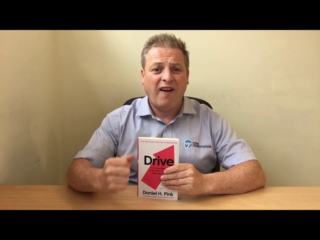 'Drive' business book review