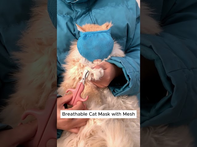 No More Scratches! Try This Breathable Cat Mask for Stress-Free Nail Trims