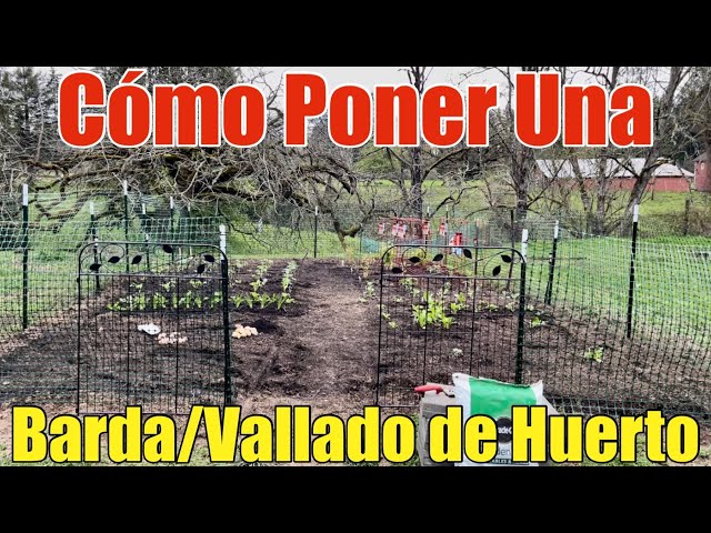 Cómo Poner Una Barda O Vallado de Huerto Para Proteger Las Frutas Y Vegetales Contra Animales DIY