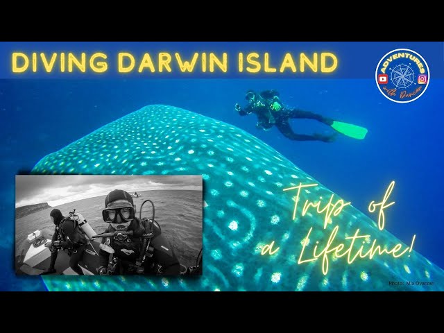 Diving Darwin: An Extraordinary Galapagos Expedition #scubadiving #sharks #galapagos