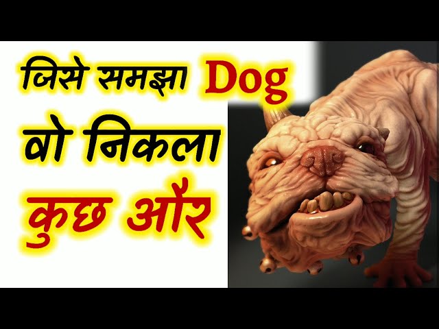 जिसे समझा डॉग वो निकला कुछ और😱 Who understood the dog that turned out to be something else #shorts