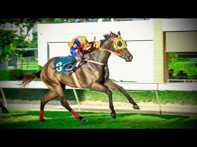 KHUN POOLAP wins! - 01/09/2024 - Race 10 - Country Bred Division 6