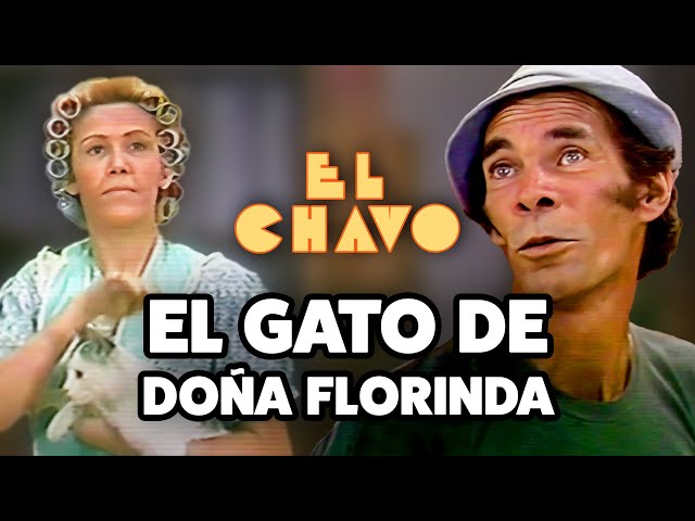 Don Ramón and the mystery of the missing fish | El Chavo del 8