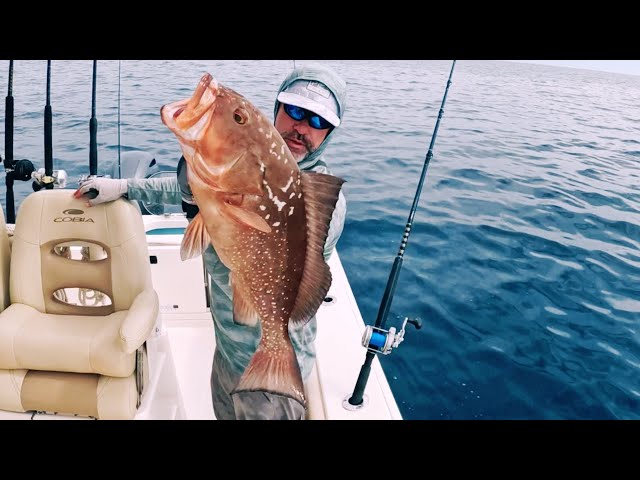 Catching, Cleaning, & Cooking My First Grouper of 2025!