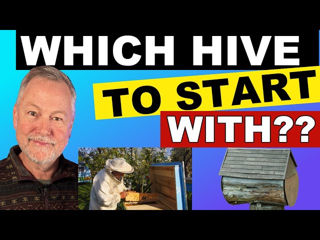 Beekeeping 101 Which Hive is Best for First-time Beekeepers?