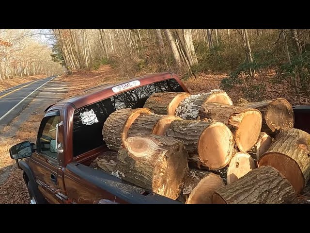 Free Oak Scored Roadside Logging!!!!