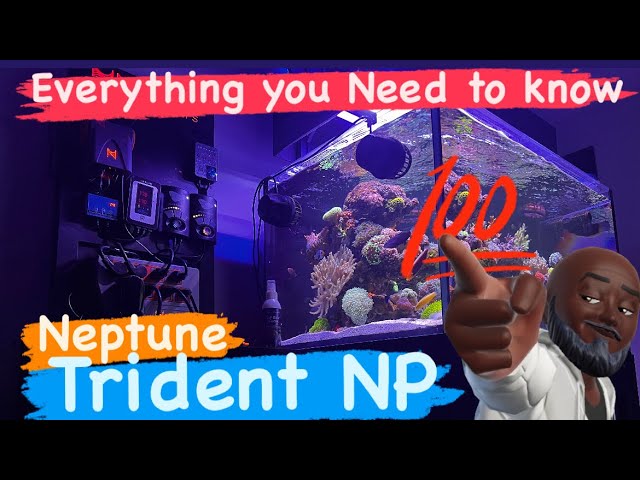 Neptune Trident NP - The Real Truth 🫡💯