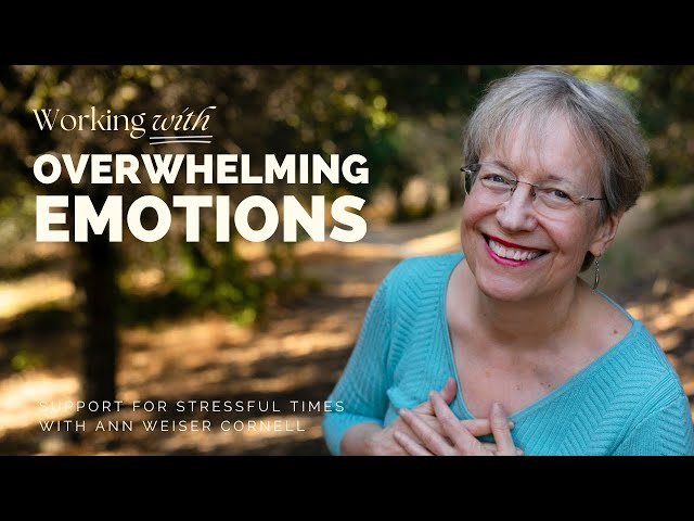 Support for Stressful Times - Help with Overwhelming Emotions