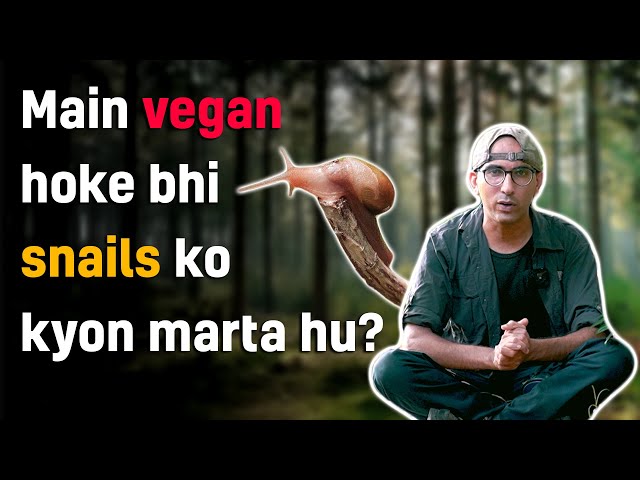 Mai snails ko kyun marta hu | मैं घोंघे को क्यों मारता हूँ!