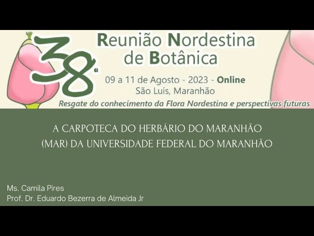 A carpoteca do Herbário do Maranhão (MAR) da UFMA - Apresentações 38ª RNB