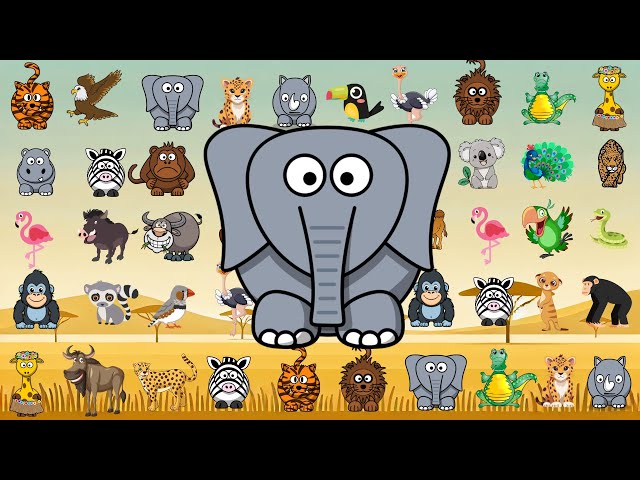 Safari Animal Sounds Song & ABC Animal Songs | Little Bunny Learns | Nursery Rhymes