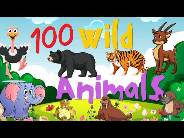 100 Wild Animals / Animal Sounds for Kids / Learning Animals and Sounds