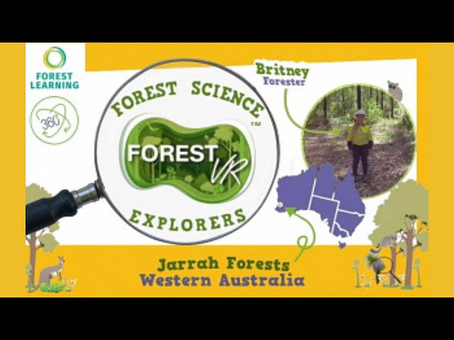 ForestVR: Forester Britney takes you on a 360 tour of Wellington Discovery Forest Western Australia