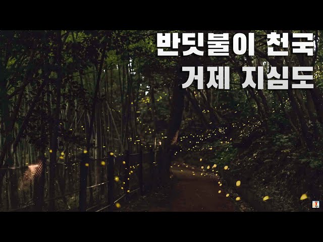 An island inhabited by fireflies in Korea