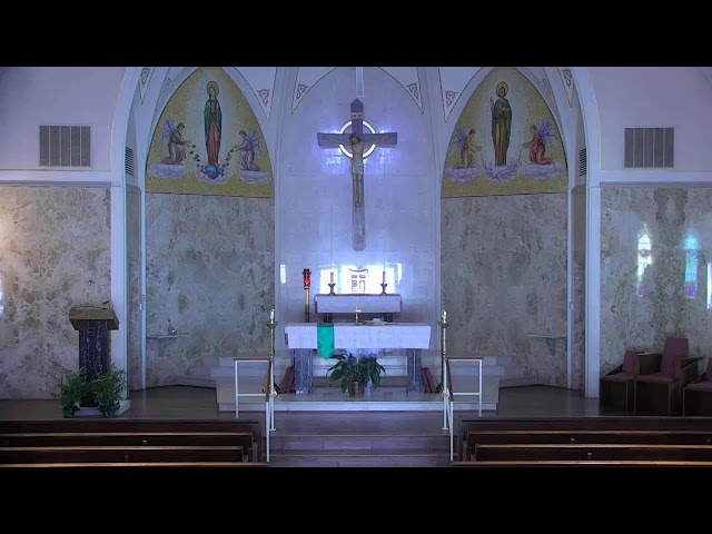 The Church of St. Mary Sycamore - Live Camera