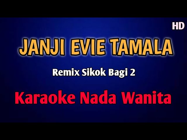 JANJI EVI TAMALA KARAOKE REMIX NADA WANITA #Remix