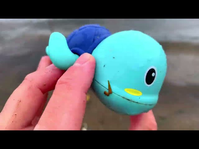 Zoo Animal Rescue! Digging Out Wild Friends from Water Beads & River Adventure!