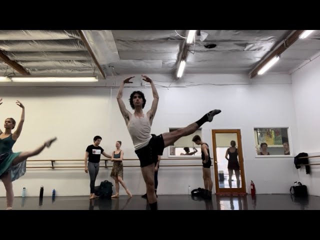 the secret life of a ballet dancer