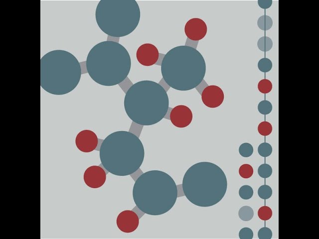 CBW Proteomics 2024 | 04: Data-Independent Acquisition (DIA) analysis